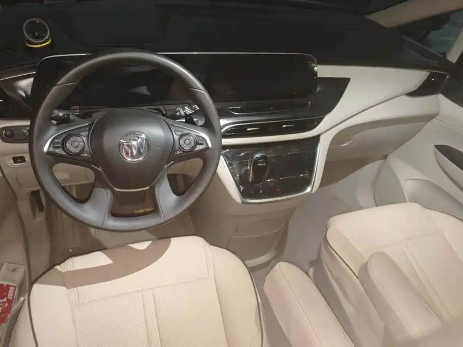 Buick GL8 — миниатюра 12