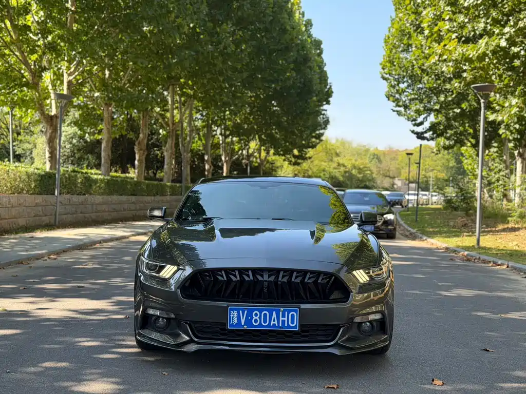 Ford Mustang — миниатюра 3