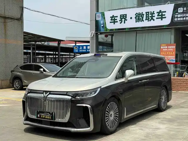 2024 Voyah Dream