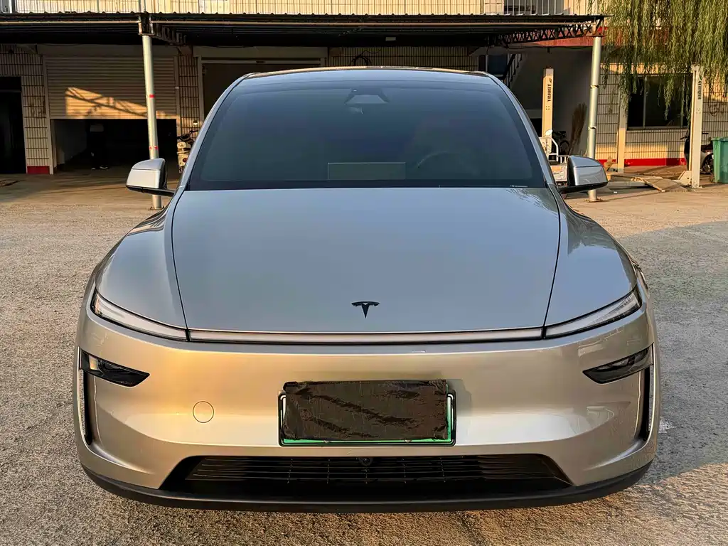 Tesla Model Y L — миниатюра 6
