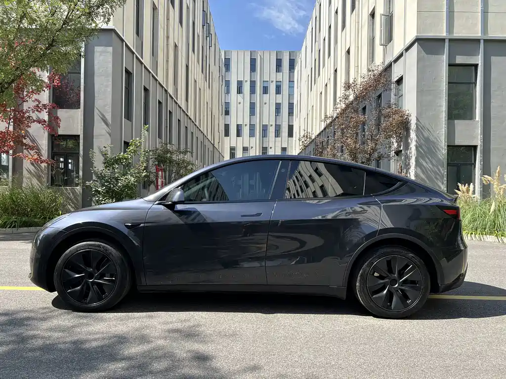 Tesla Model Y — миниатюра 11