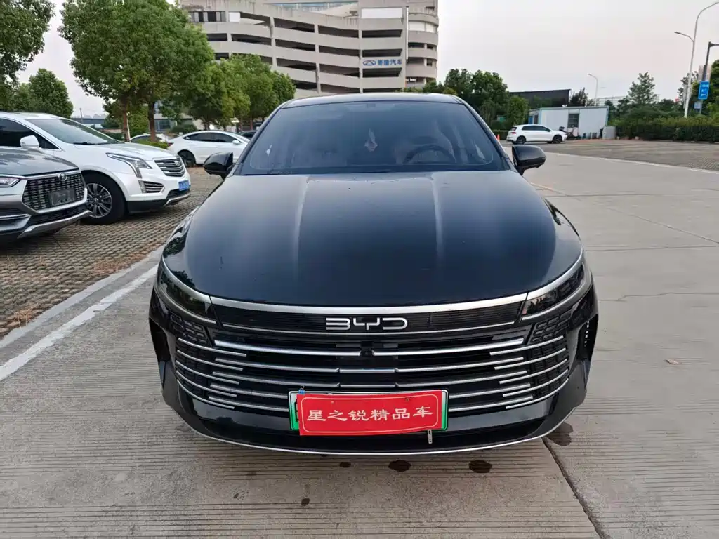 BYD Destroyer 05 — миниатюра 2