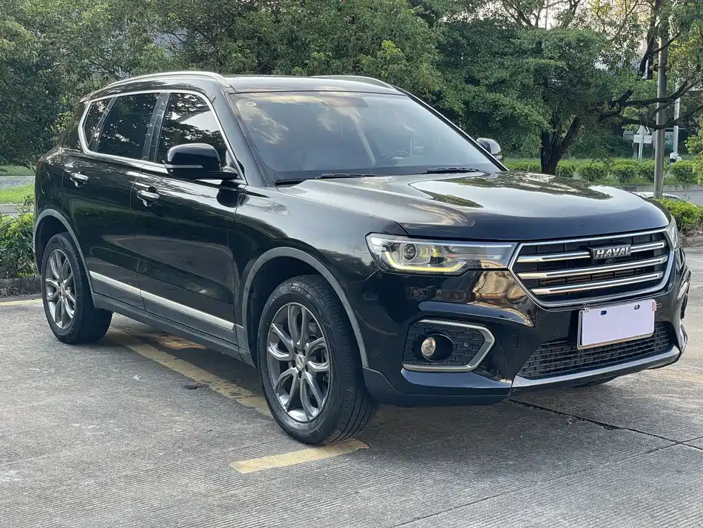 Haval H7 2.0T Delight Type China VI, фото 3
