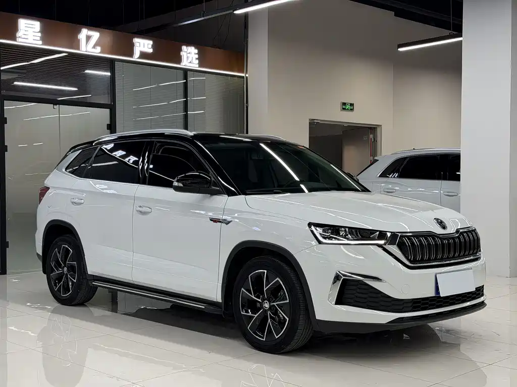 Skoda Kamiq — миниатюра 3