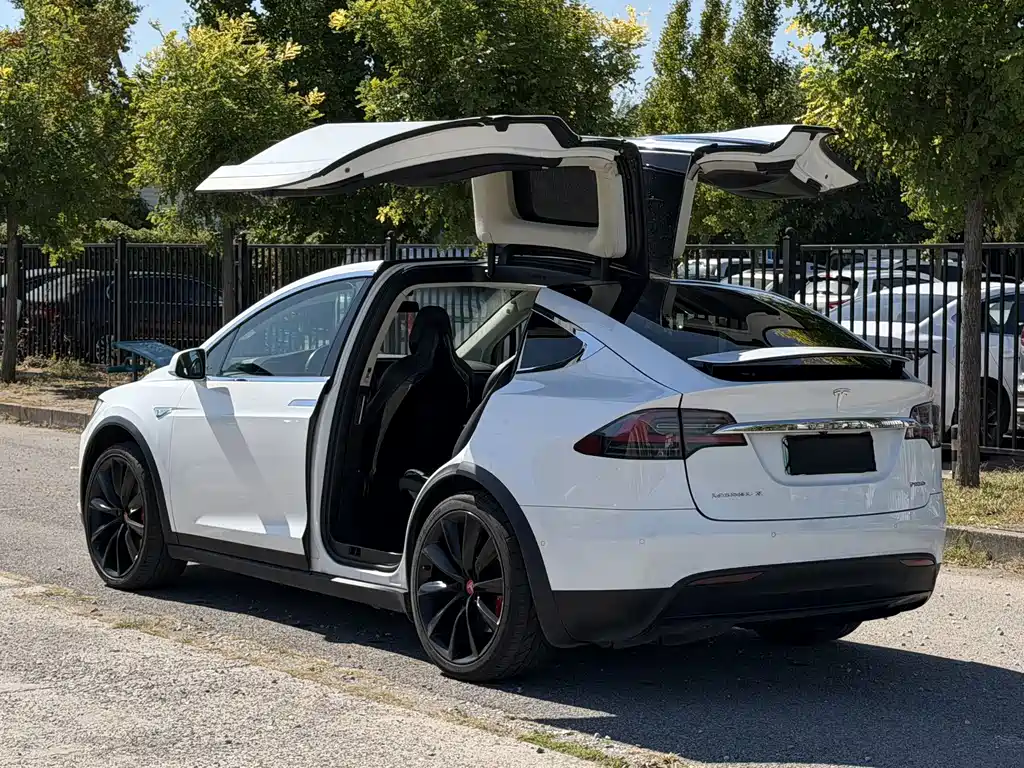 Tesla Model X — миниатюра 10