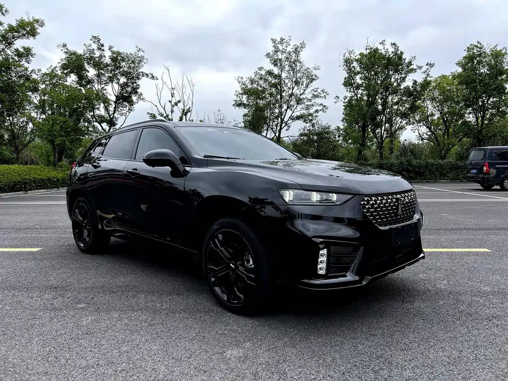 Wey Wey VV7 — миниатюра 3