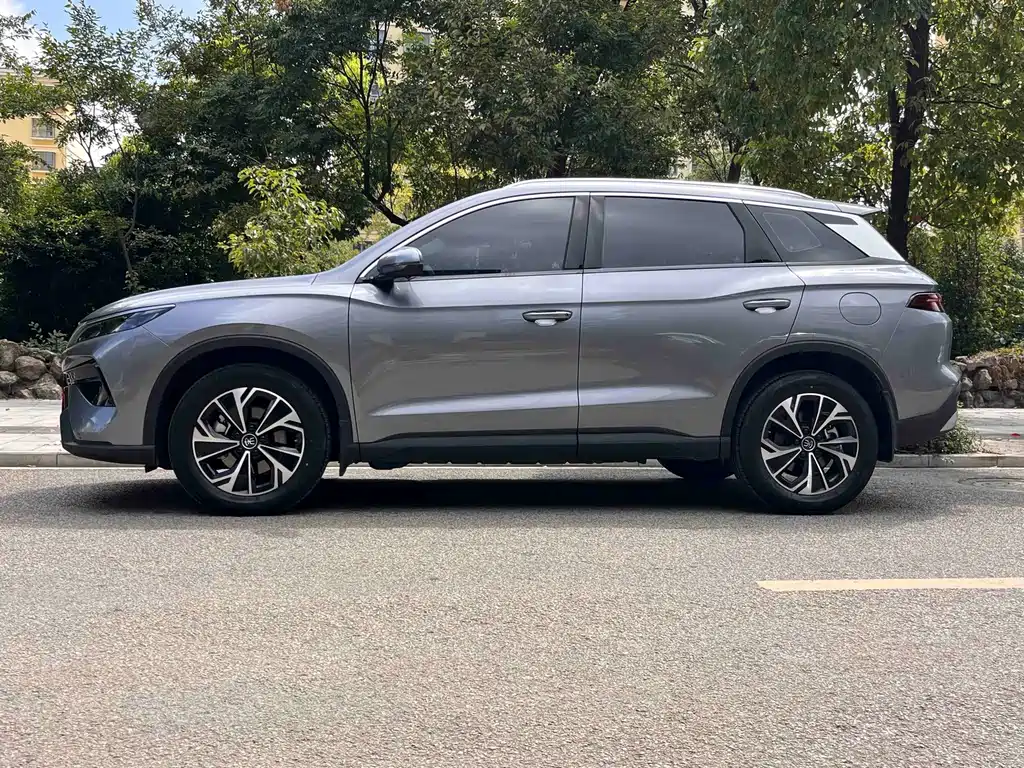 BYD Pro New Energy — миниатюра 5