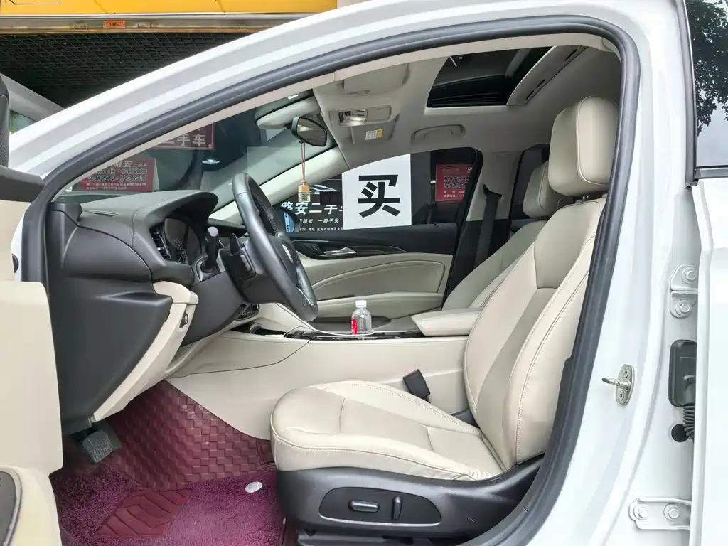 Buick Regal — миниатюра 11