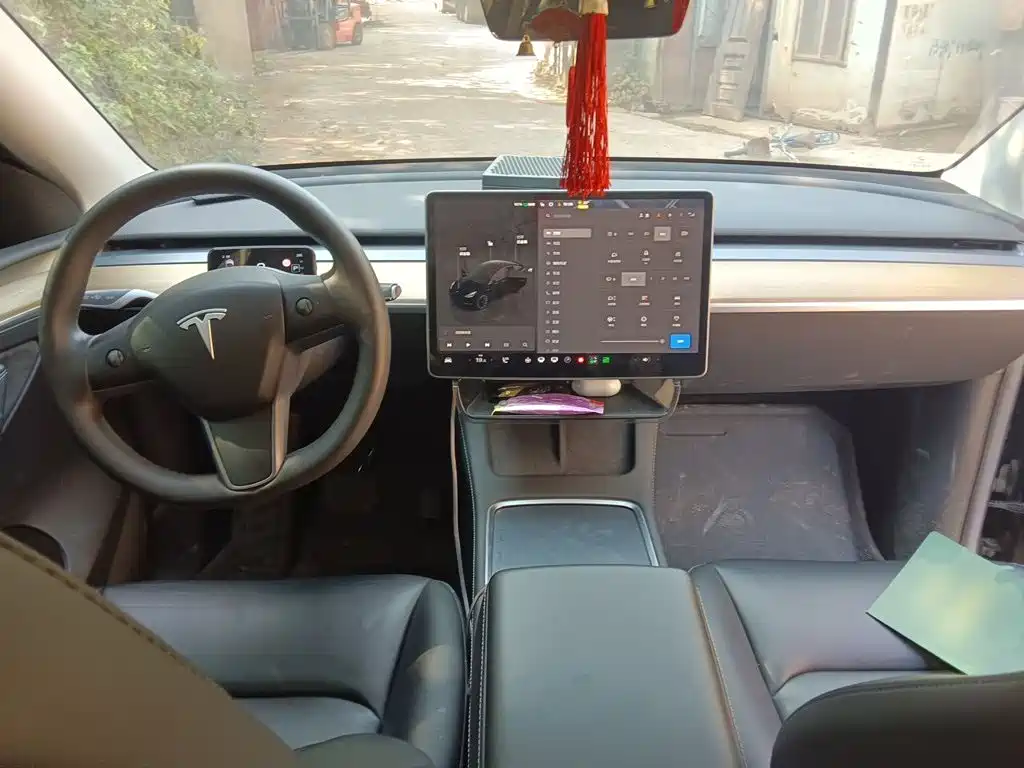 Tesla Model Y — миниатюра 5