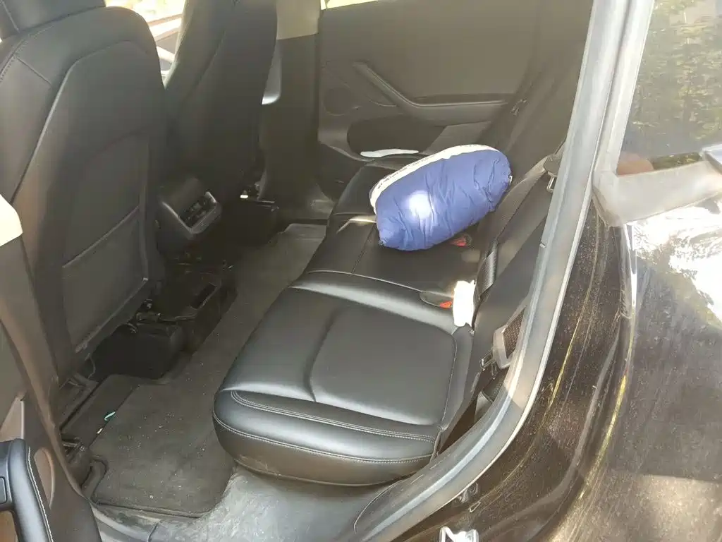 Tesla Model Y — миниатюра 13