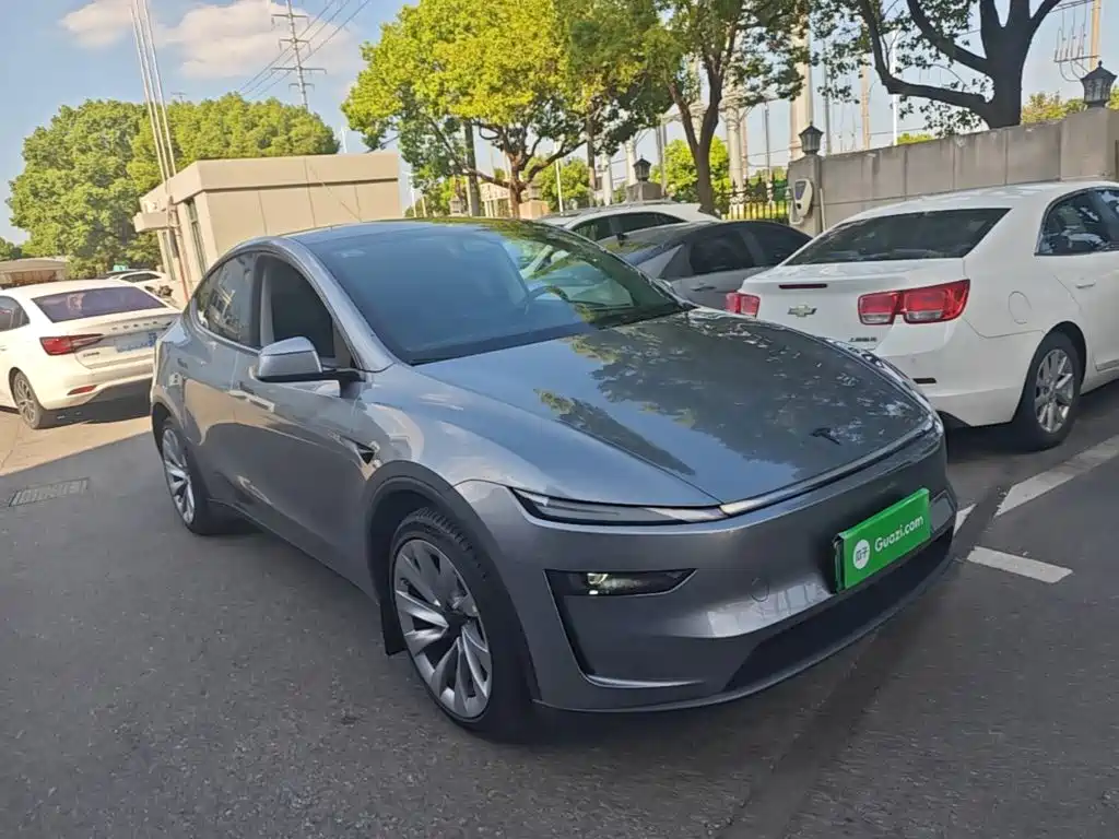 Tesla Model Y — миниатюра 4