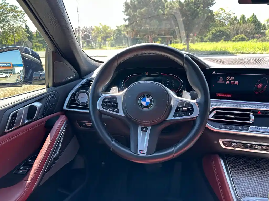 BMW X6 — миниатюра 22