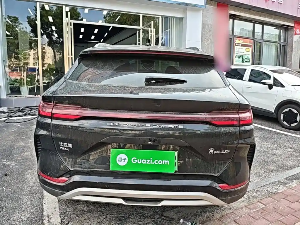 BYD PLUS New Energy — миниатюра 6