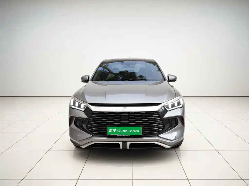 BYD Pro New Energy — миниатюра 2