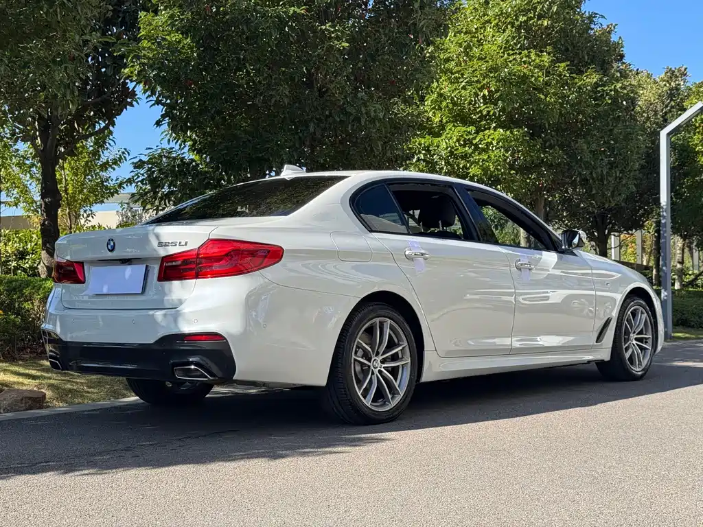 BMW 5 Series — миниатюра 4