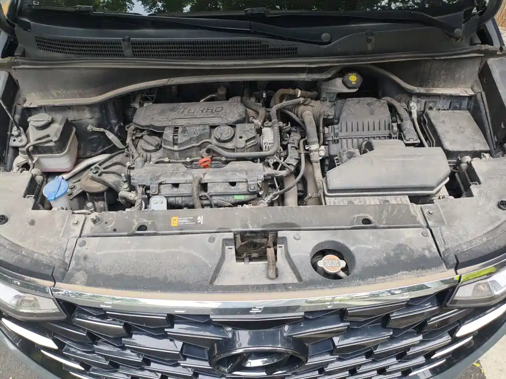 Hyundai Custo — миниатюра 21