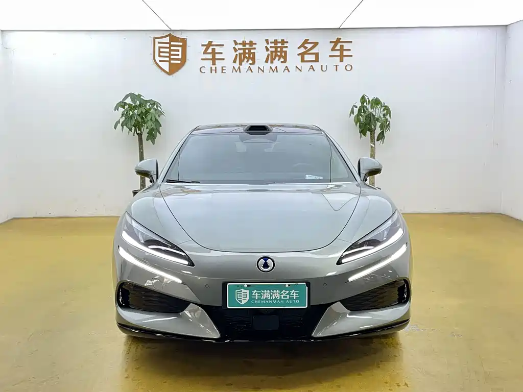 Denza Denza Z9GT — миниатюра 2