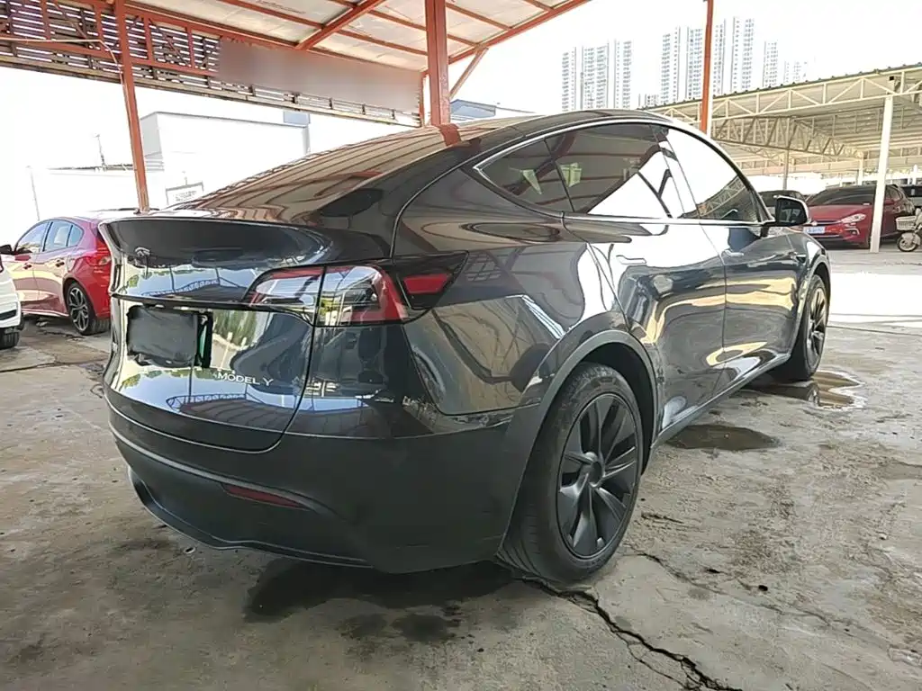 Tesla Model Y — миниатюра 7