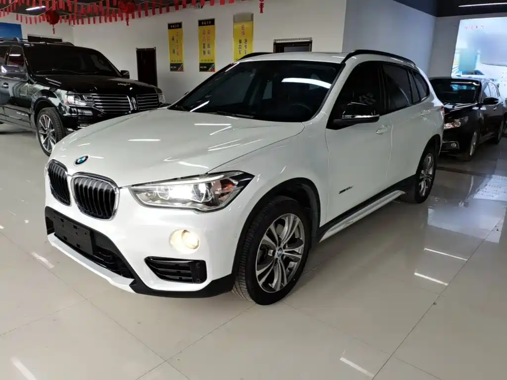 BMW X1 — миниатюра 2