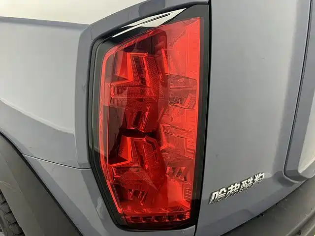 Haval Cool Dog — миниатюра 18