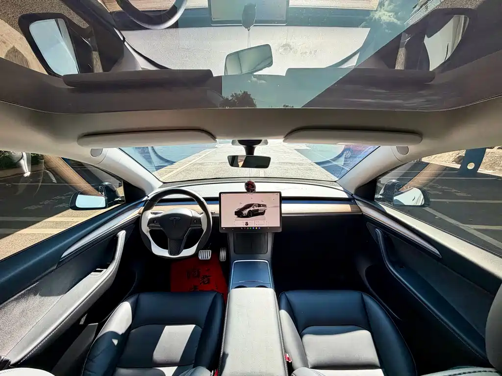 Tesla Model Y — миниатюра 11