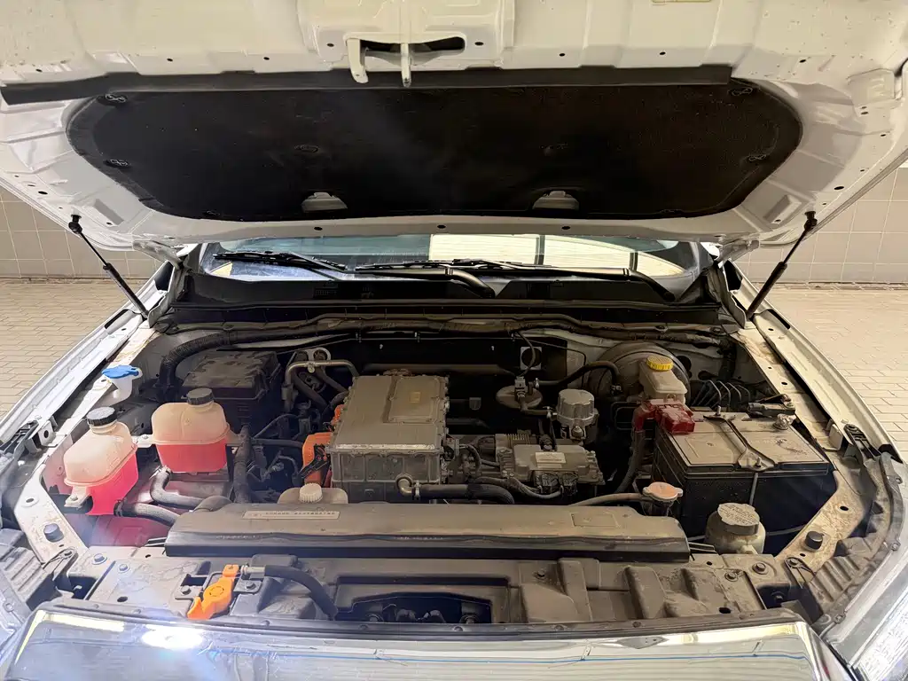 Dongfeng Rich 6 New Energy — миниатюра 37