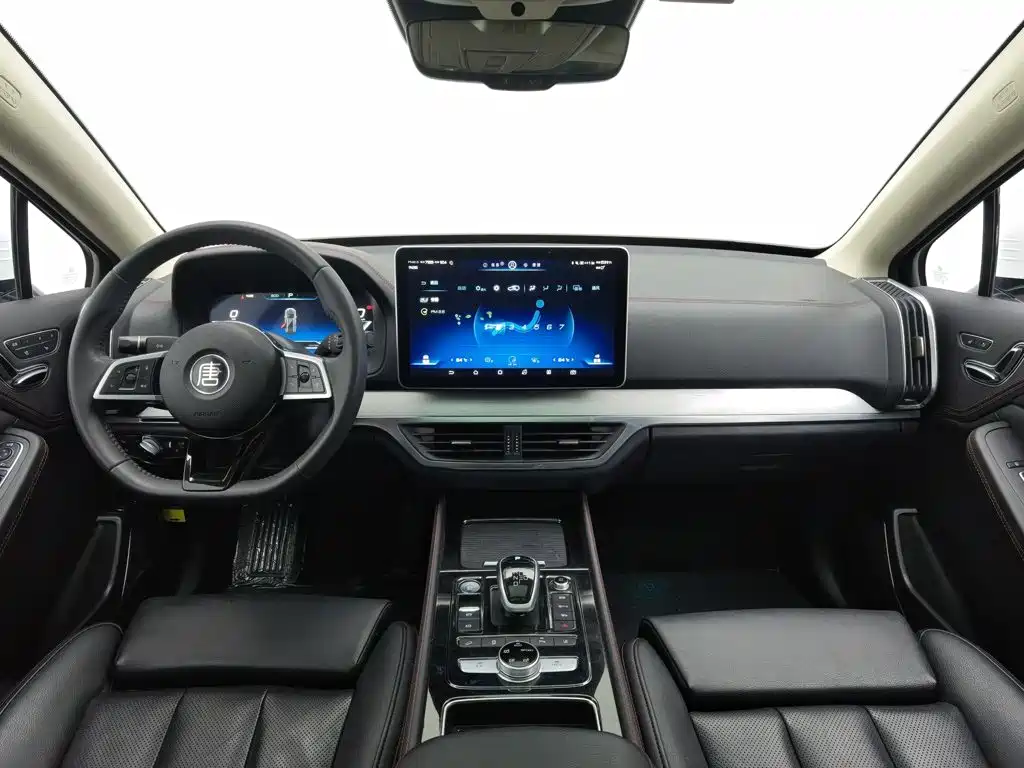 BYD Tang New Energy — миниатюра 5