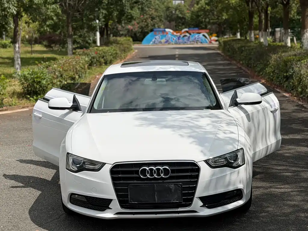 Audi A5 (Import) — миниатюра 3