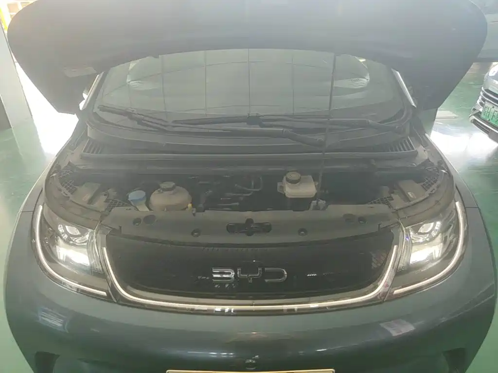 BYD Dolphin — миниатюра 20