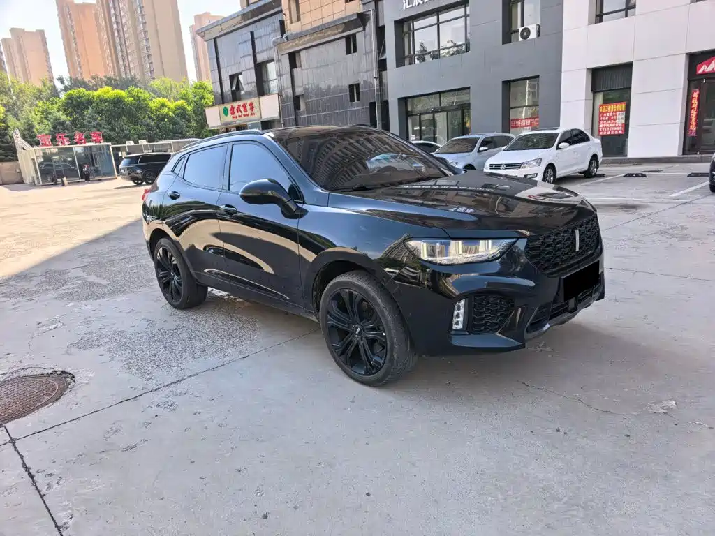 Wey Wey VV5 — миниатюра 3