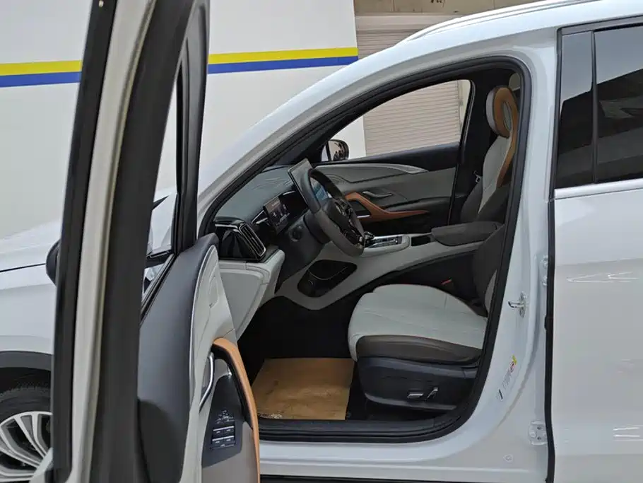 BYD Pro New Energy — миниатюра 9