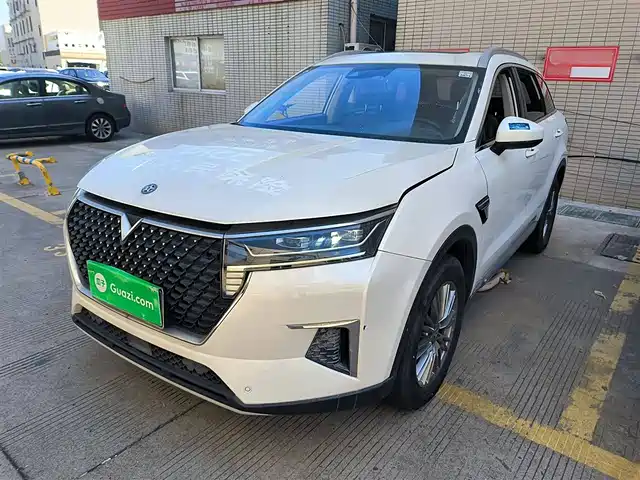 QICHEN XING 2021