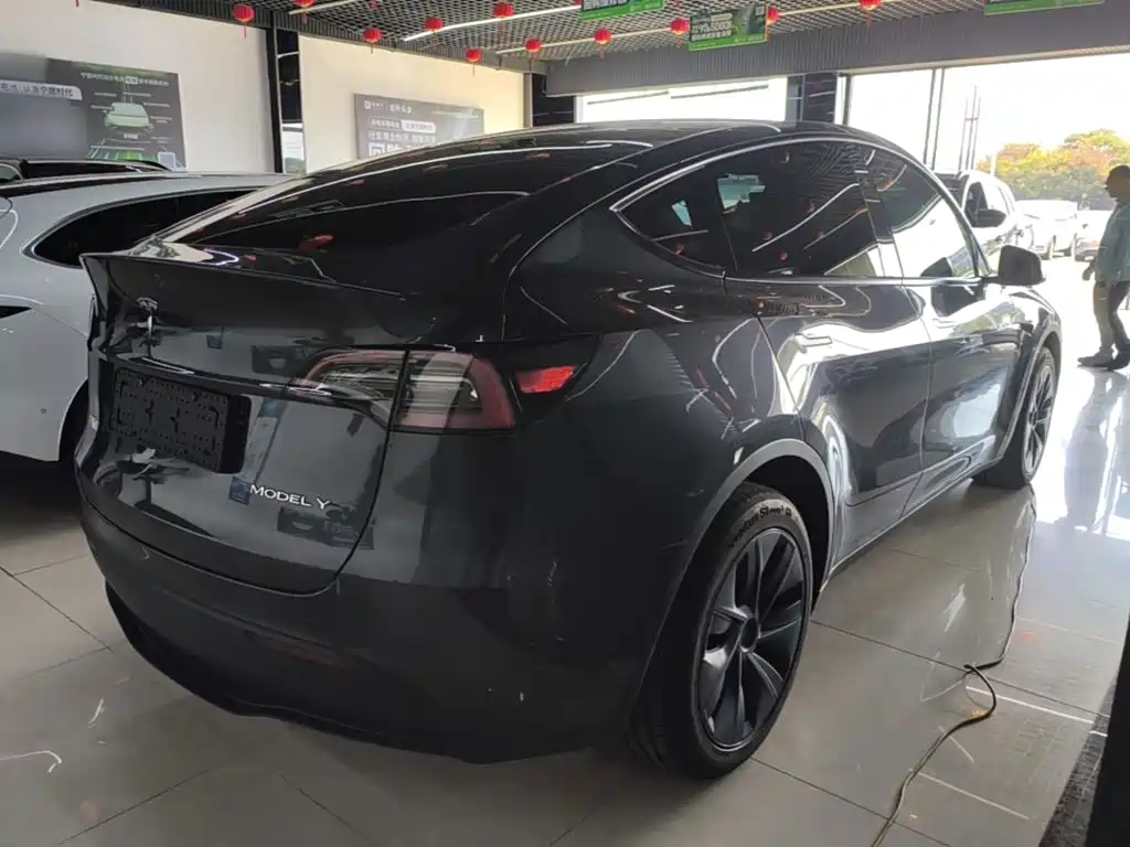 Tesla Model Y — миниатюра 7