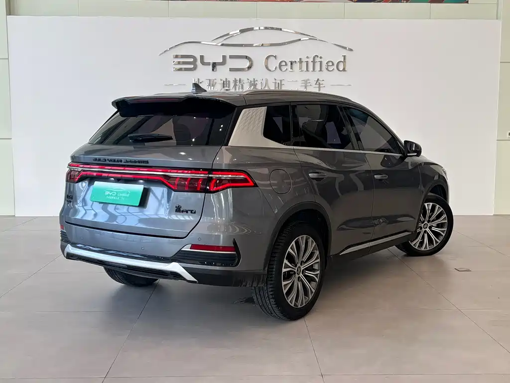 BYD Pro New Energy — миниатюра 17