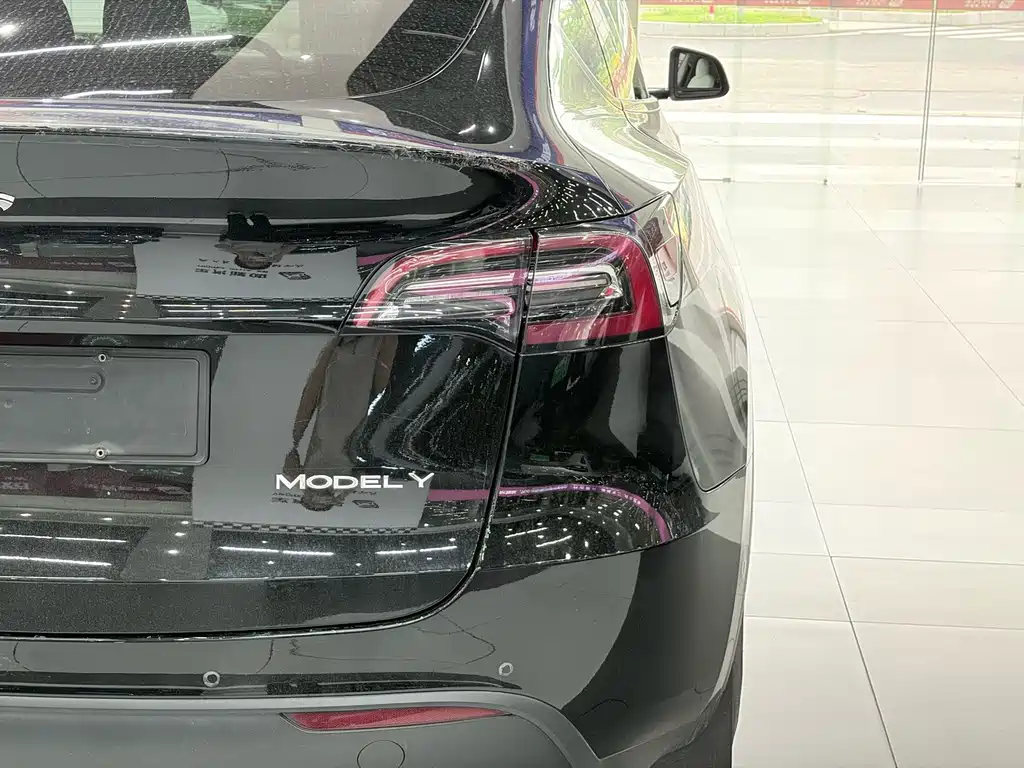 Tesla Model Y — миниатюра 7