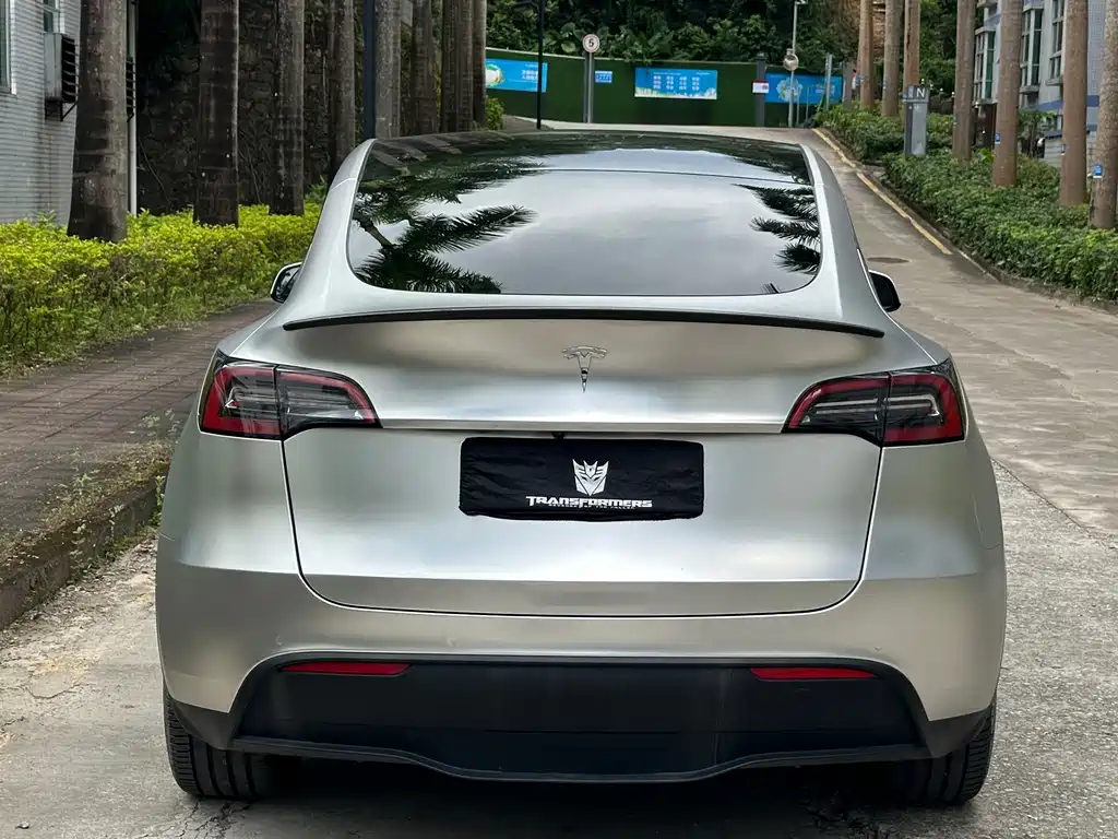 Tesla Model Y — миниатюра 4
