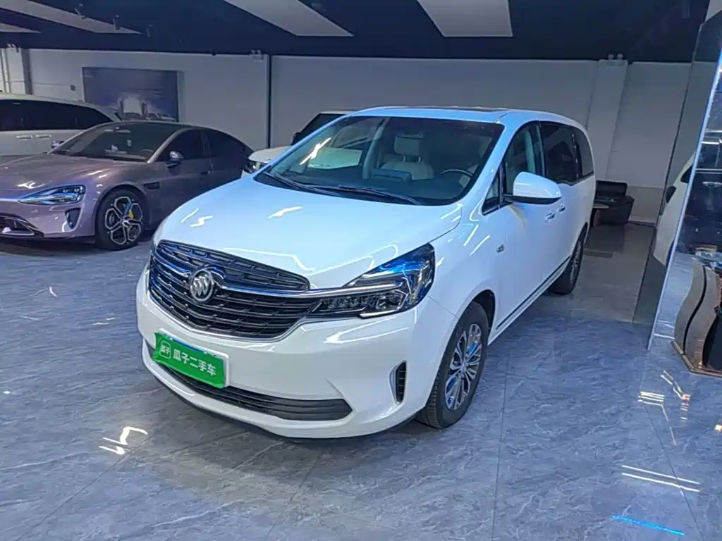 Buick GL8 — миниатюра 2