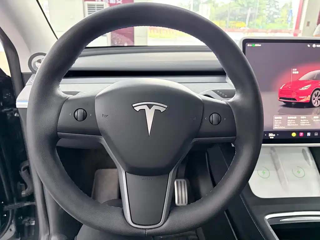 Tesla Model Y — миниатюра 10