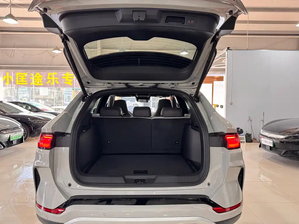 BYD SONGJIANG NEW ENERGY