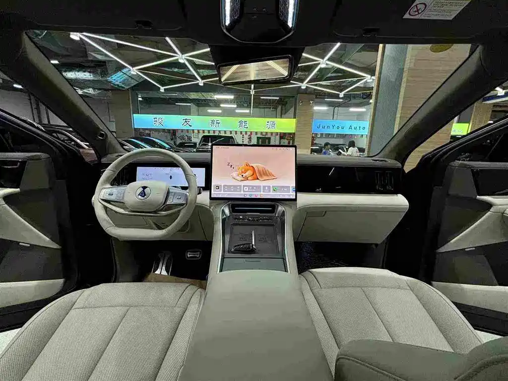 Denza Zoom N8L — миниатюра 7