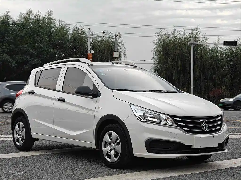BAOJUN 310