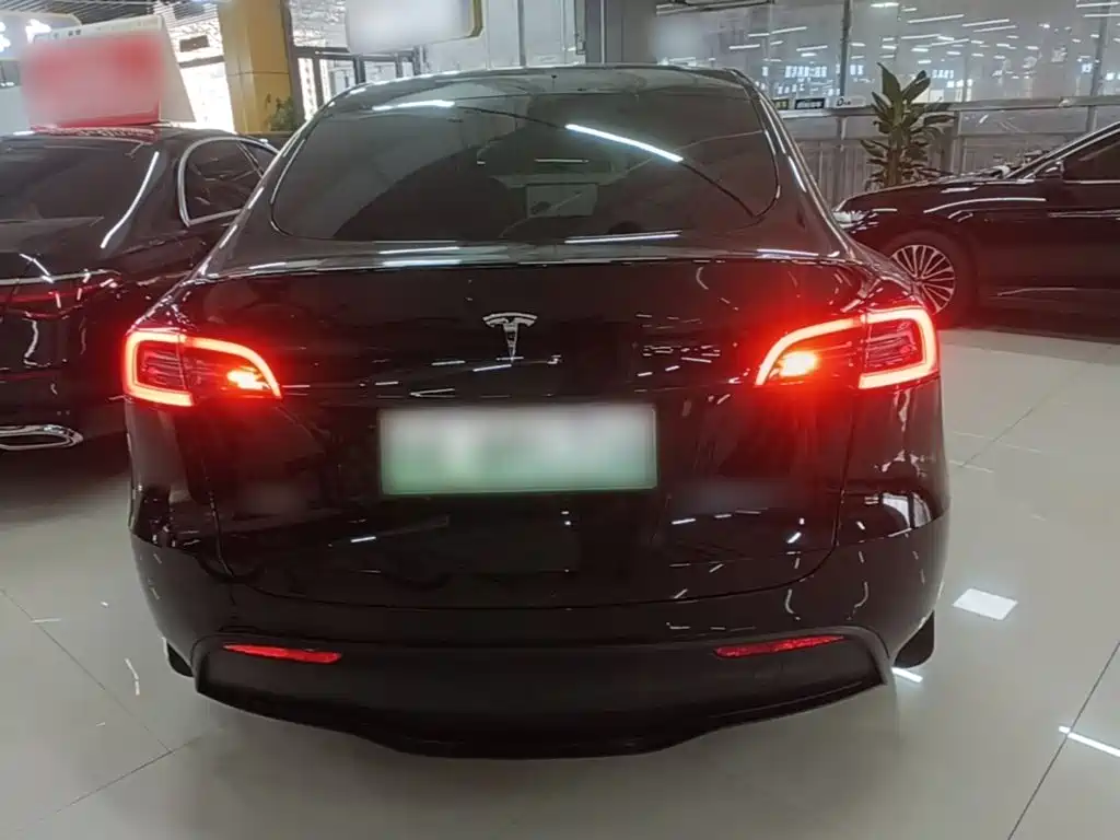 Tesla Model Y — миниатюра 6