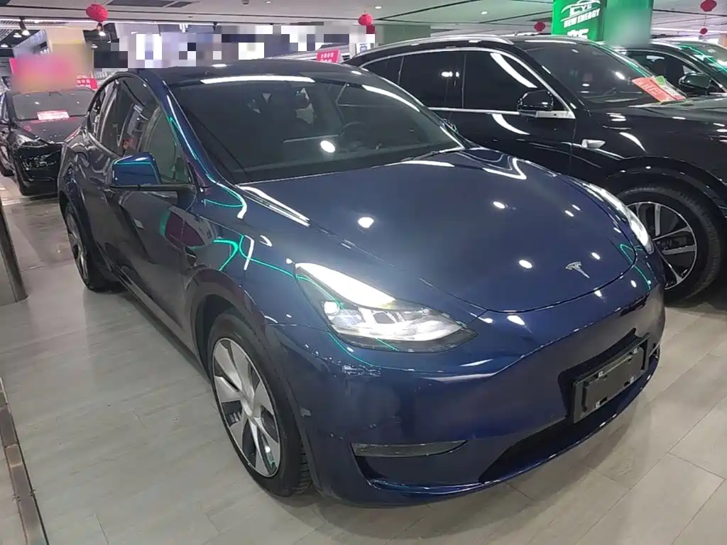 Tesla Model Y — миниатюра 4