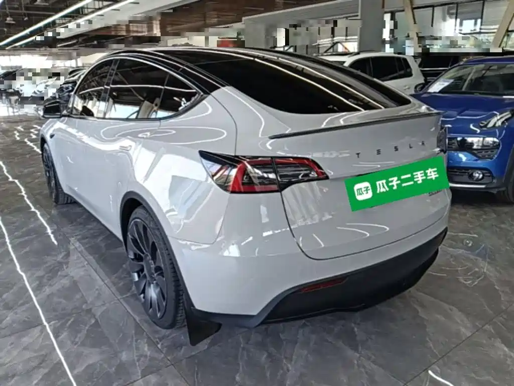 Tesla Model Y — миниатюра 5