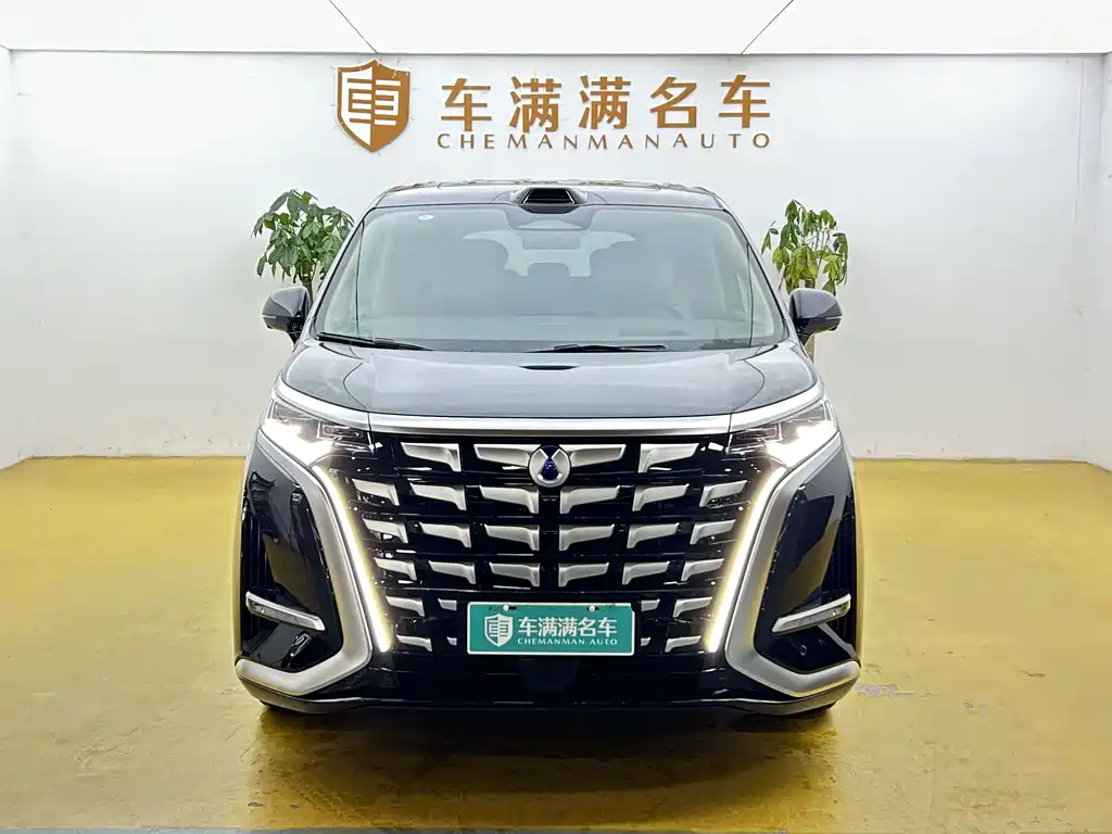 Denza Denza D9 — миниатюра 2