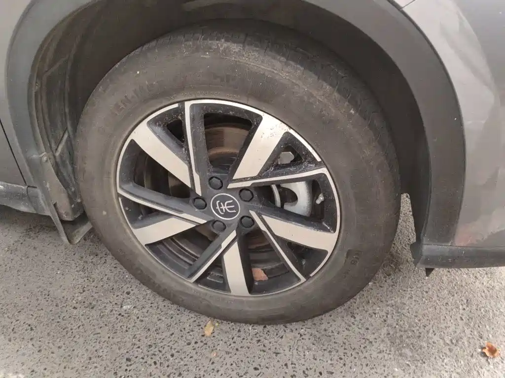 BYD Pro New Energy — миниатюра 24