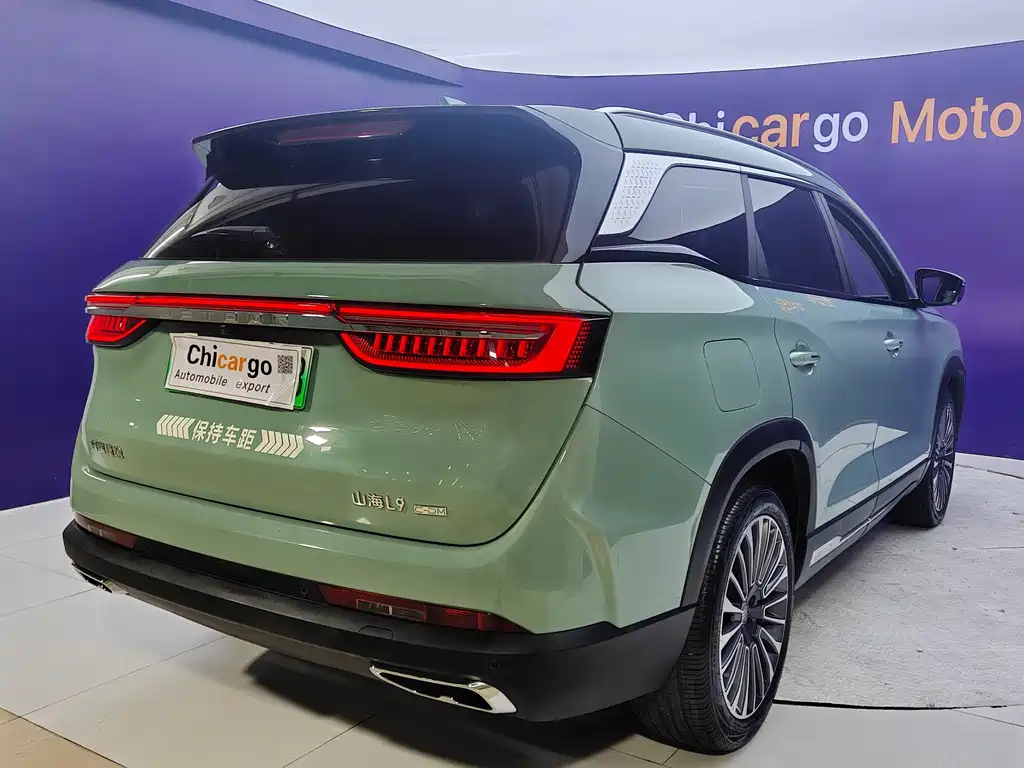 Shanhai Shanhai L9 — миниатюра 6