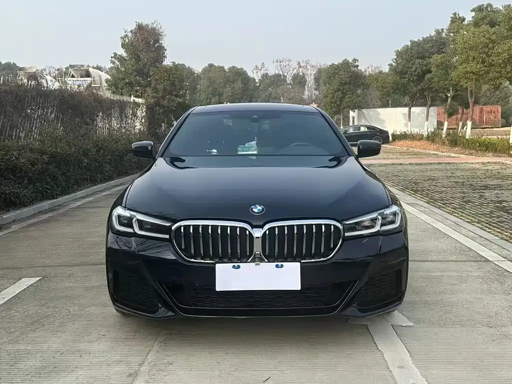 BMW 5 Series — миниатюра 2