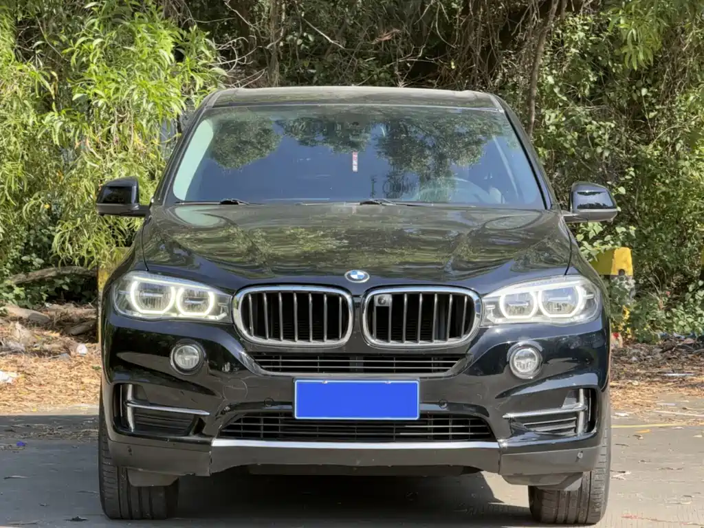 BMW X5 2017 xDrive35i Elegant