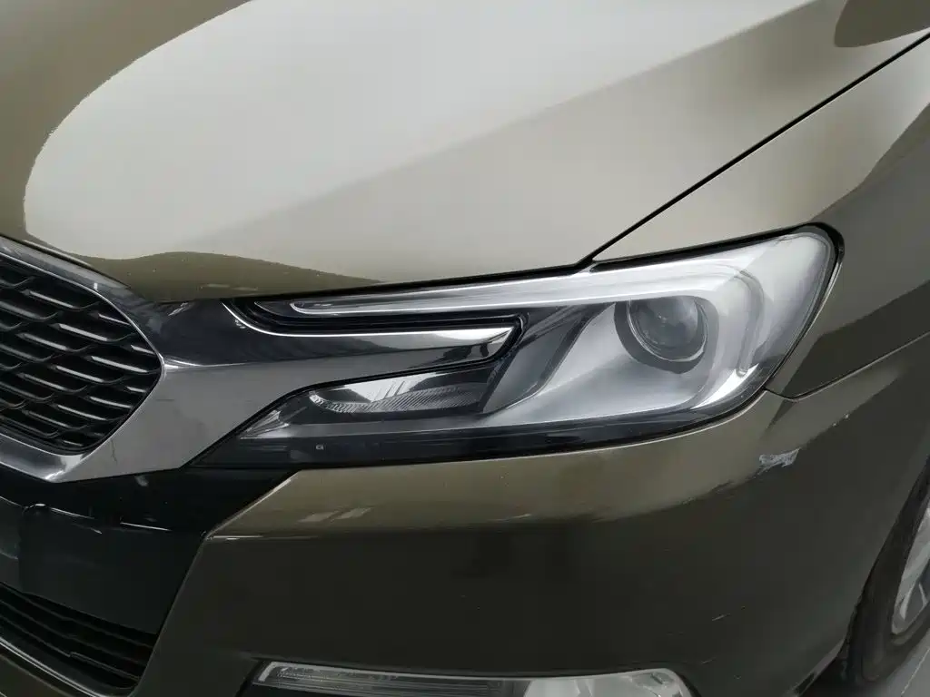 DS DS 5LS — миниатюра 7